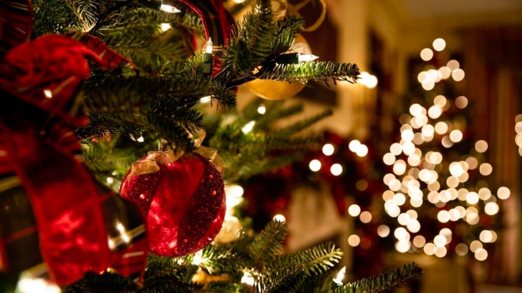 Desconectar para Recargar: Aprovechando las Vacaciones de Navidad